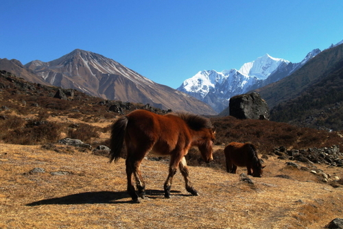 Nepál_foto Kamila Gamalová