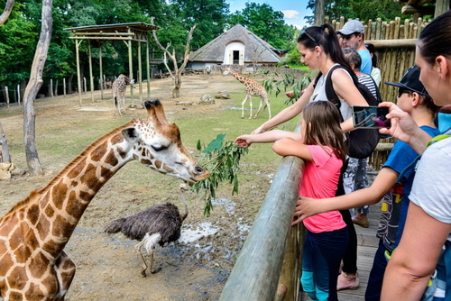 foto archiv Zoo Zlín