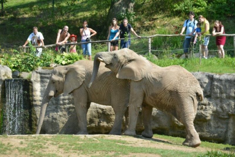 Za vysvědčení zadarmo do ZOO Zlín — Turistický informační portál města