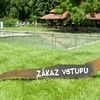 letní expozice aligátorů_archiv Zoo Zlín